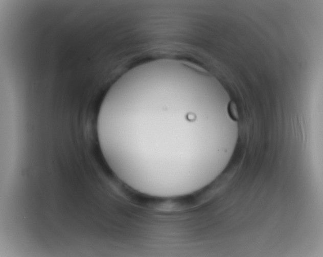 X0000114660460200910201024