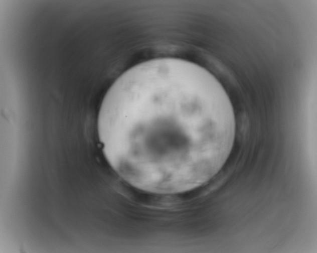 X0000114660463200910201024
