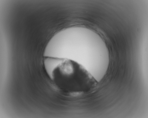 X0000114660465200910201024