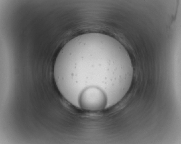 X0000114660466200910201024