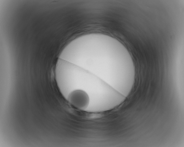 X0000114660471200910201024
