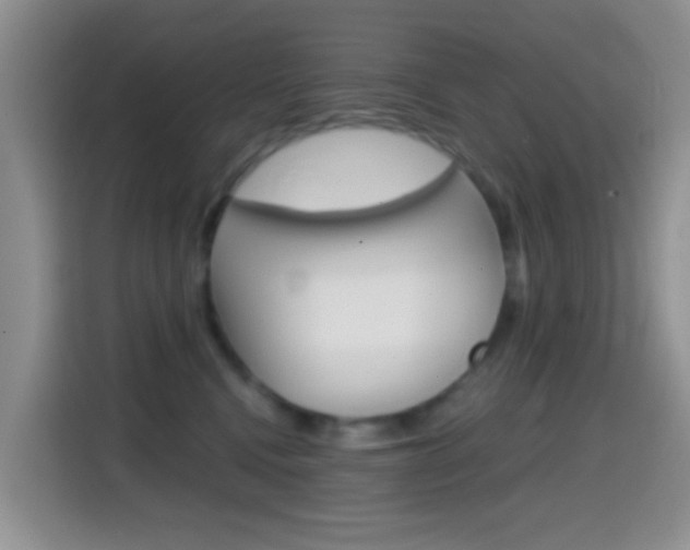 X0000114660472200910201024