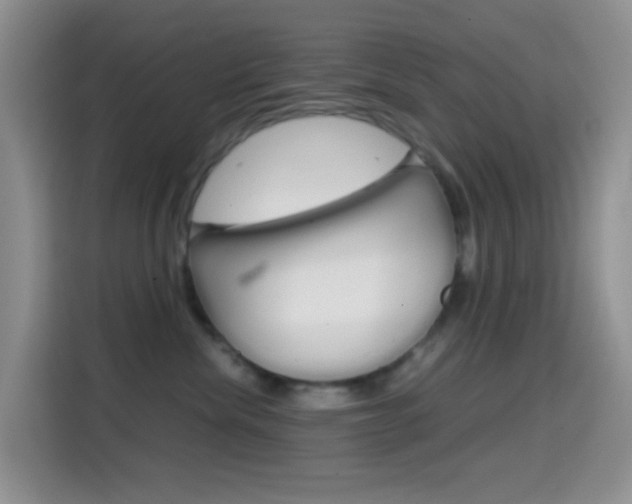 X0000114660476200910201024