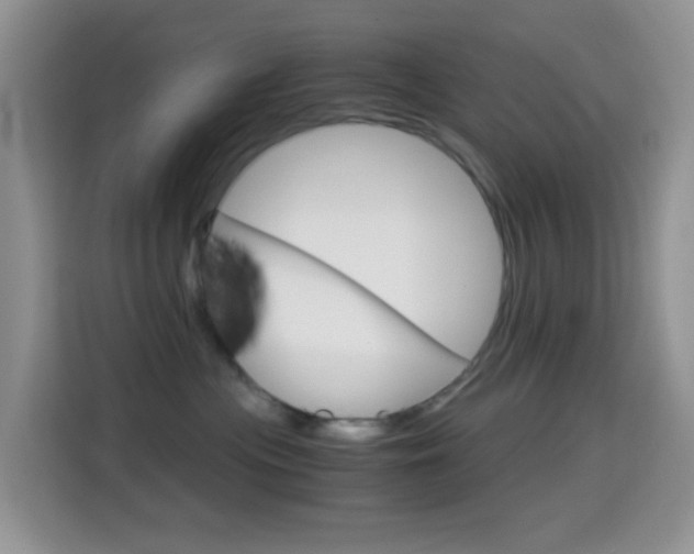 X0000114660477200910201024