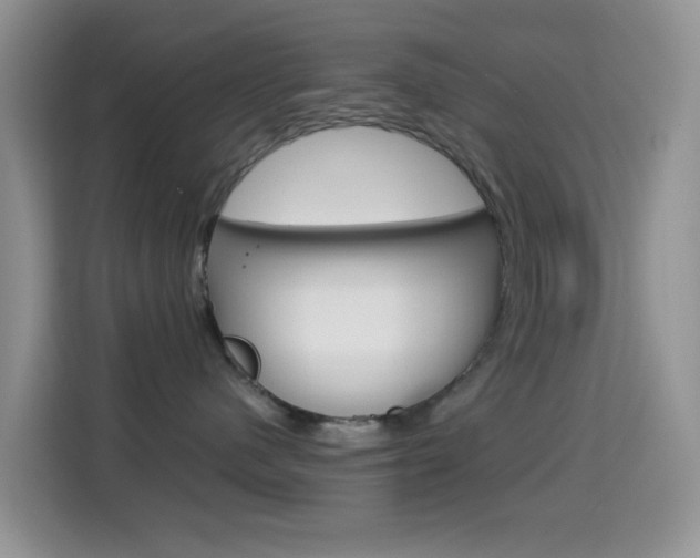 X0000114660480200910201024