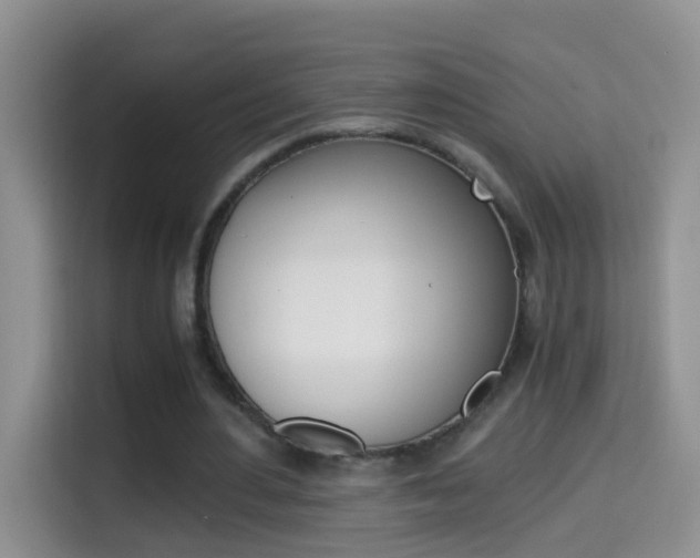 X0000114660484200910201024