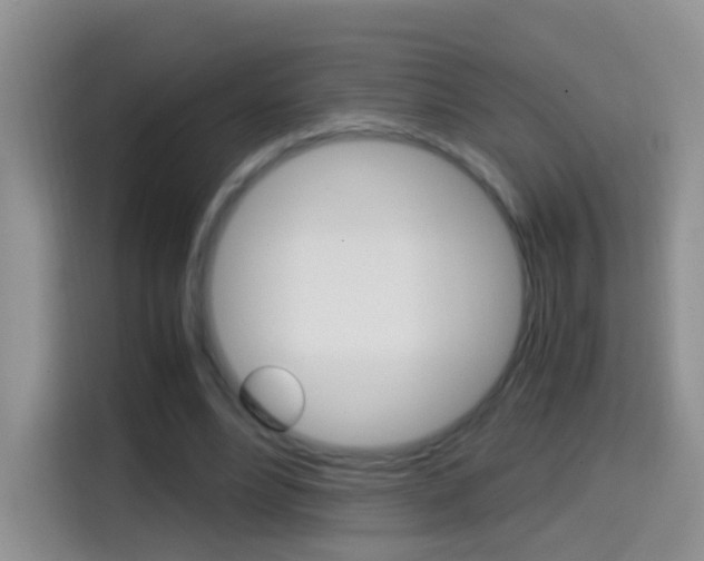 X0000114660488200910201024