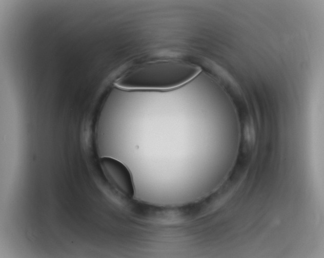 X0000114660492200910201024