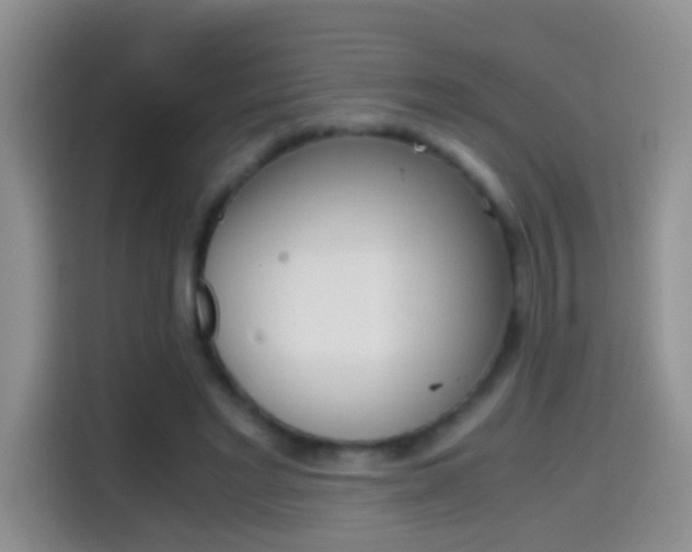 X0000114660493200910201024