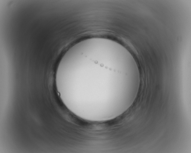 X0000114660495200910201024