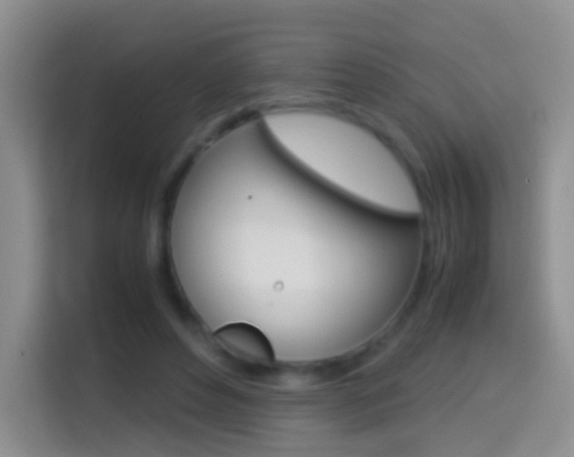 X0000114660496200910201024