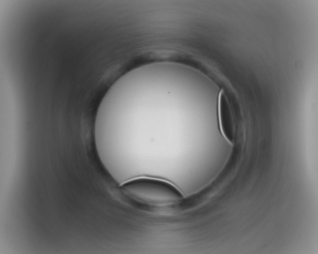 X0000114660505200910201023