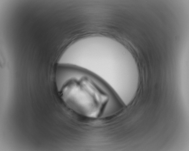 X0000114660513200910201023