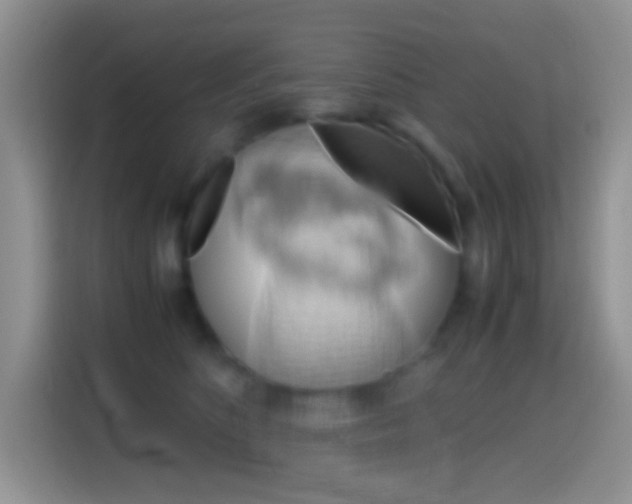 X0000114660516200910201023