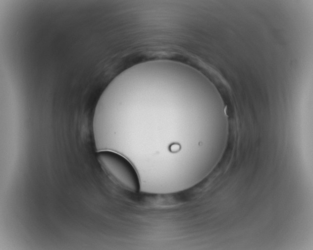 X0000114660517200910201023
