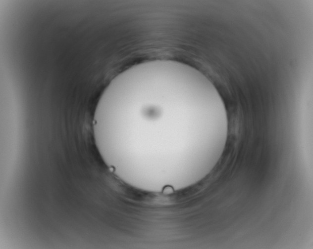 X0000114660518200910201023