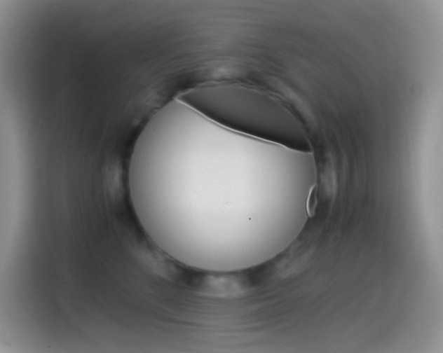 X0000114660520200910201023