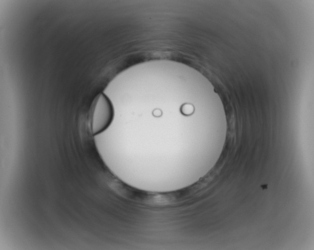 X0000114660522200910201023