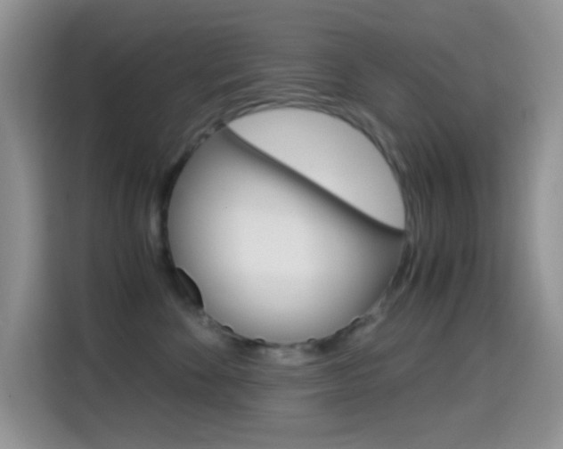 X0000114660524200910201023