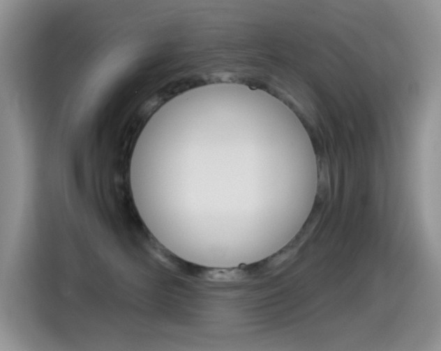 X0000114660526200910201023