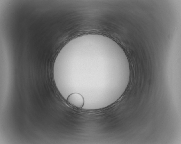 X0000114660528200910201023
