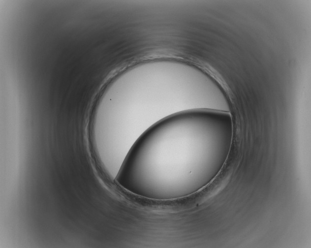 X0000114660530200910201022