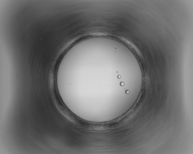 X0000114660533200910201023