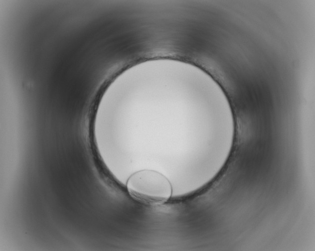 X0000114660534200910201023