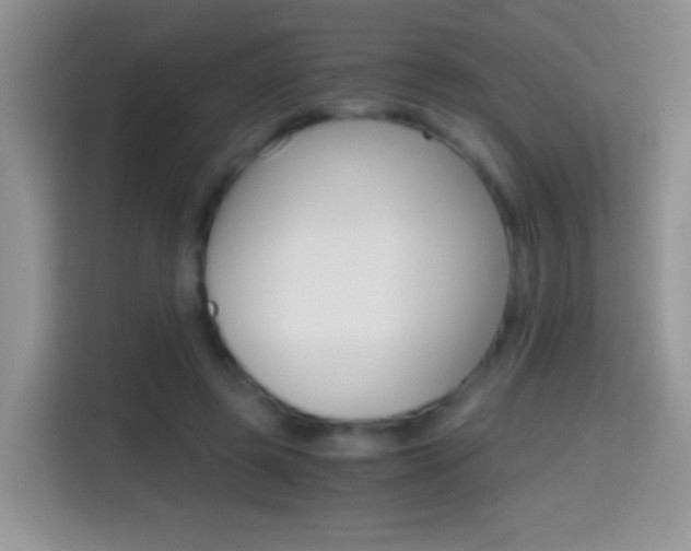 X0000114660545200910201023