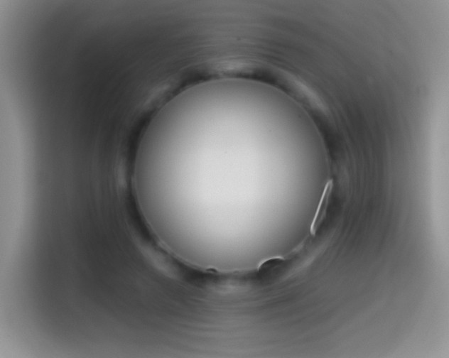 X0000114660546200910201023