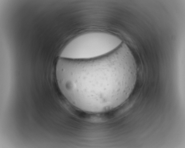 X0000114660550200910201023