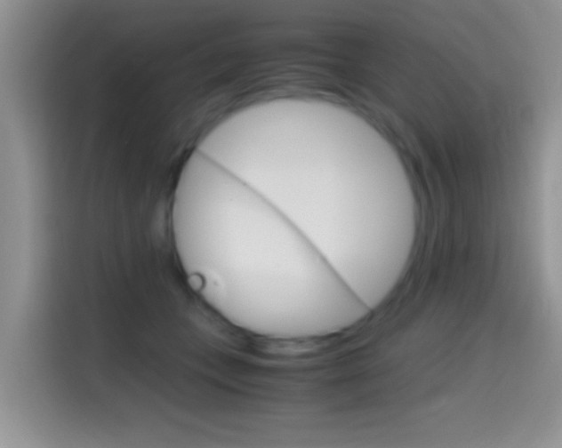 X0000114660559200910201023