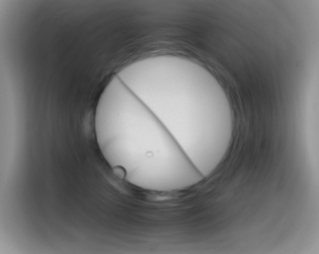 X0000114660563200910201023