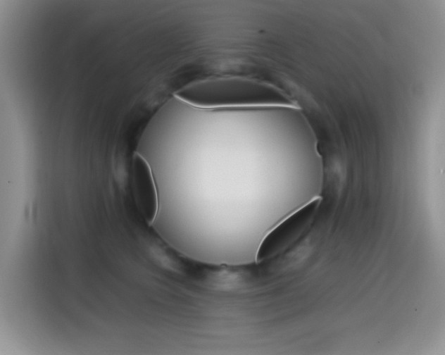 X0000114660566200910201023