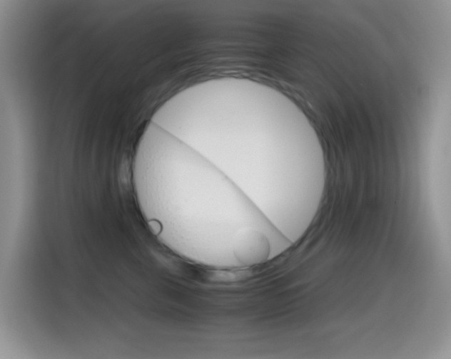 X0000114660571200910201023