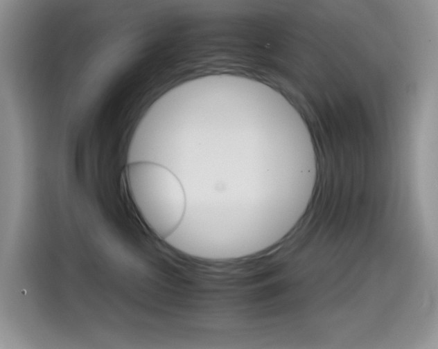 X0000114660573200910201023
