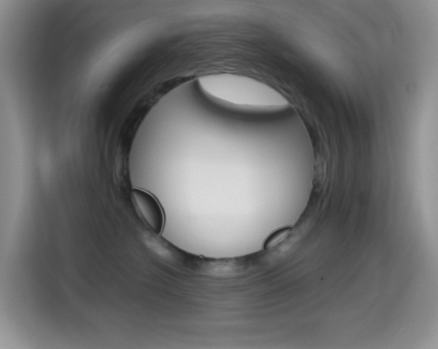 X0000114660574200910201023