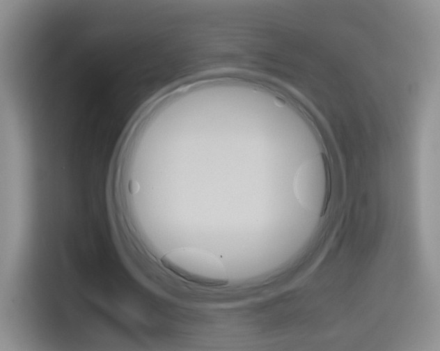 X0000114660579200910201022
