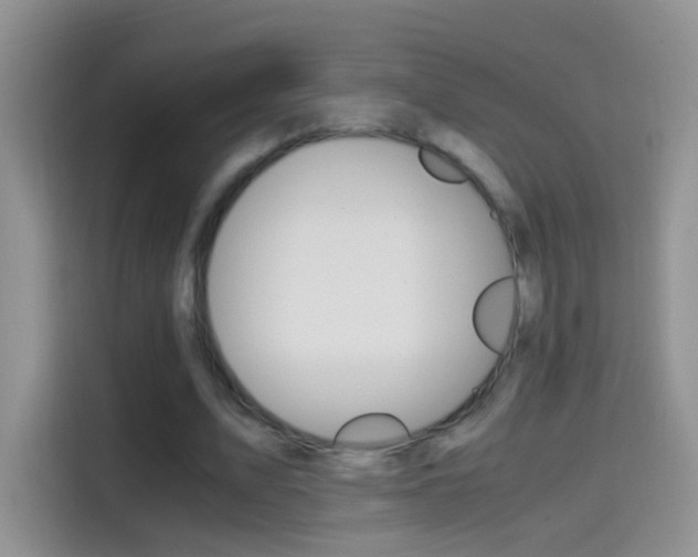 X0000114660583200910201022
