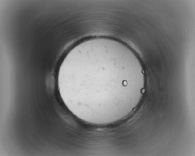 X0000114660584200910201022