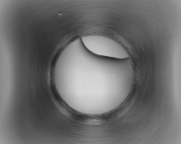 X0000114660586200910201022