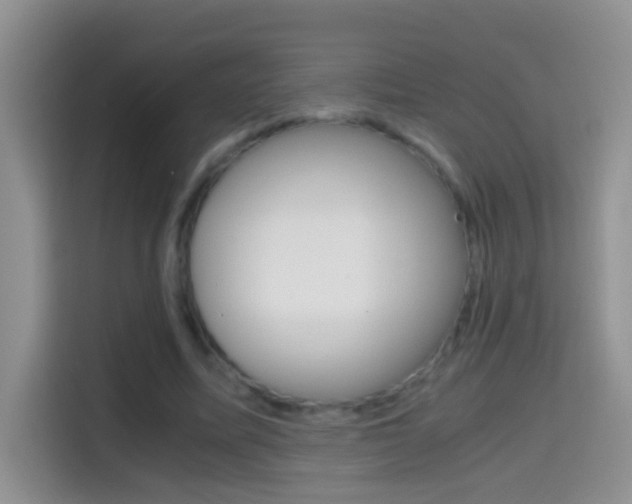 X0000114660587200910201022