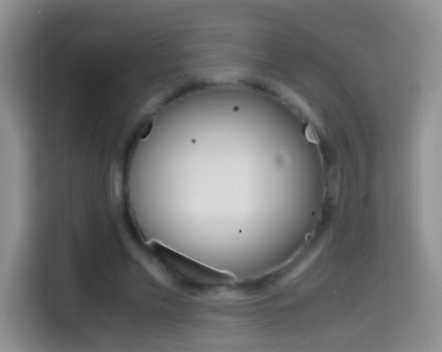 X0000114660589200910201022