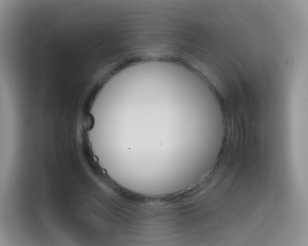 X0000114660590200910201022