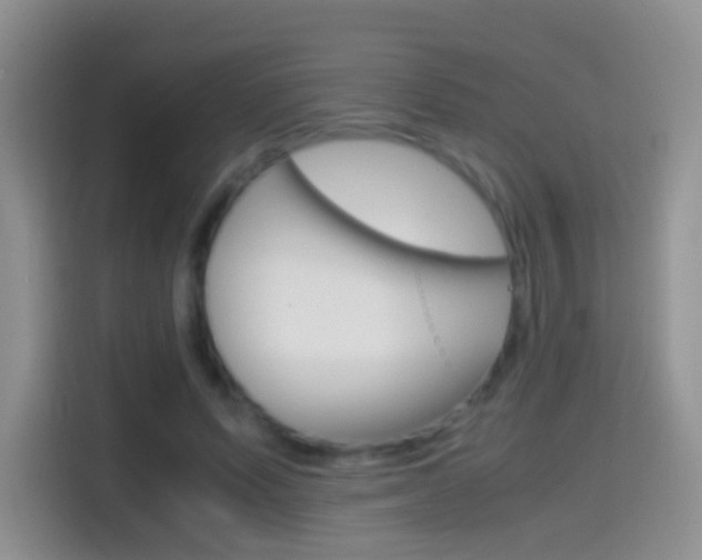 X0000114660591200910201022