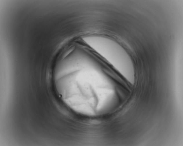 X0000114660592200910201022