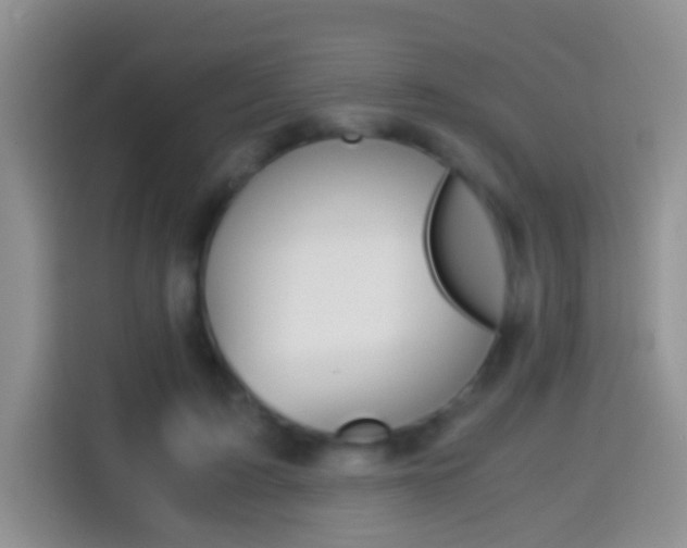 X0000114660595200910201022