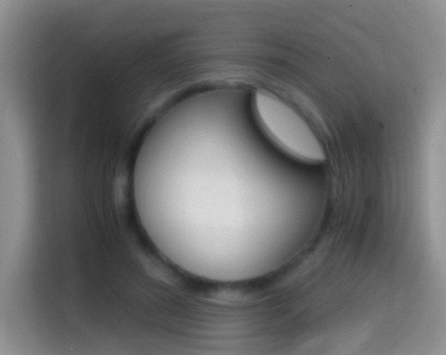 X0000114660596200910201022