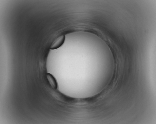 X0000114660601200910201022