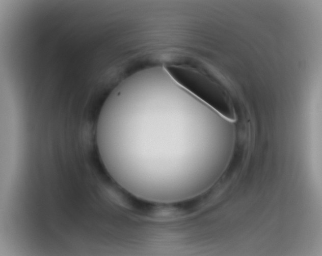 X0000114660605200910201022